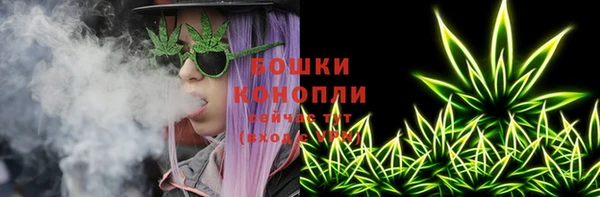 шишки Карталы