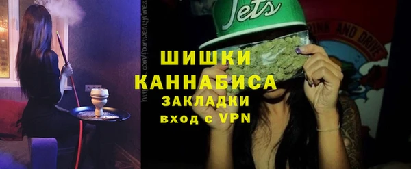 прущие грибы Каменка