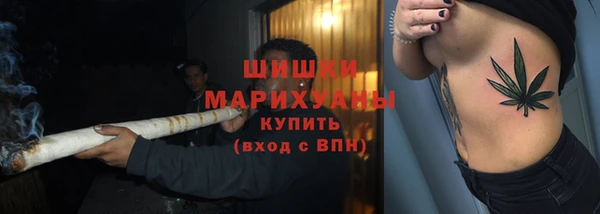 прущие грибы Каменка