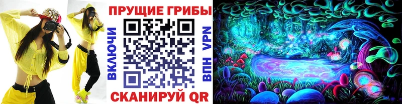 наркотики  Кремёнки  Псилоцибиновые грибы мицелий 